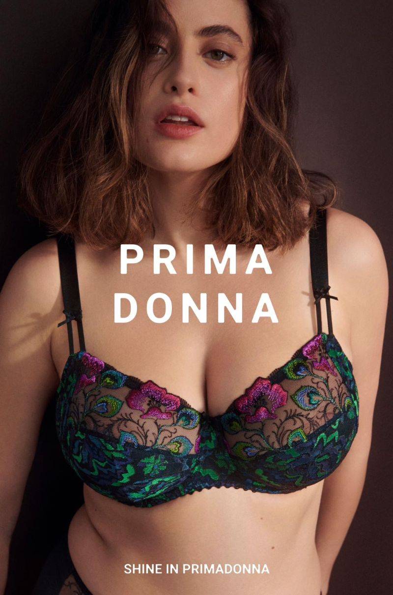 prima donna san angel.JPG